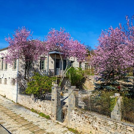 Hotel Katikia Zagori à Vitsa Extérieur photo