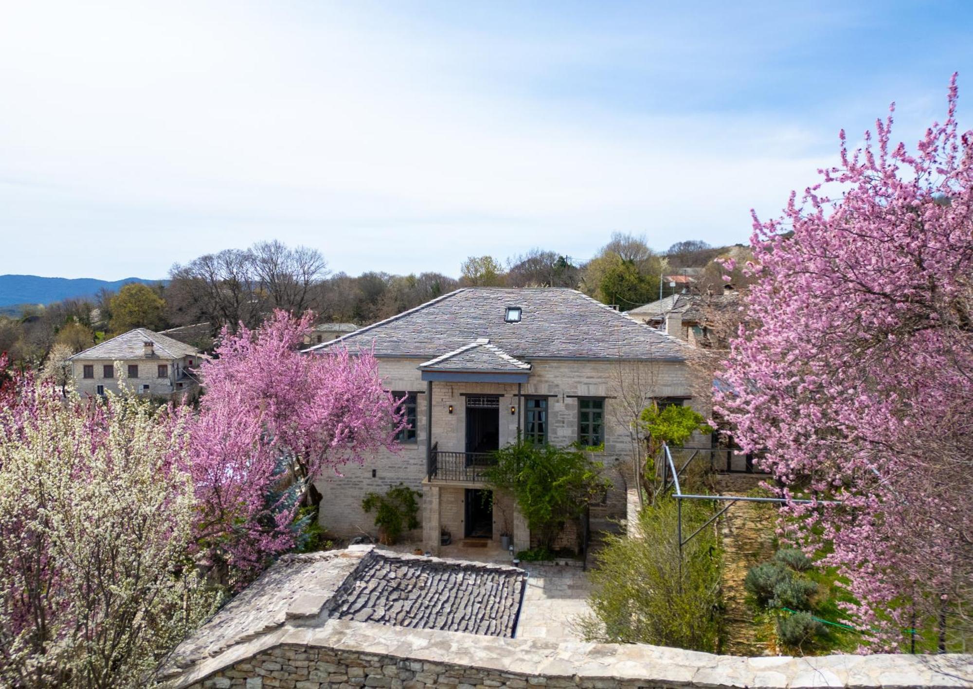 Hotel Katikia Zagori à Vitsa Extérieur photo
