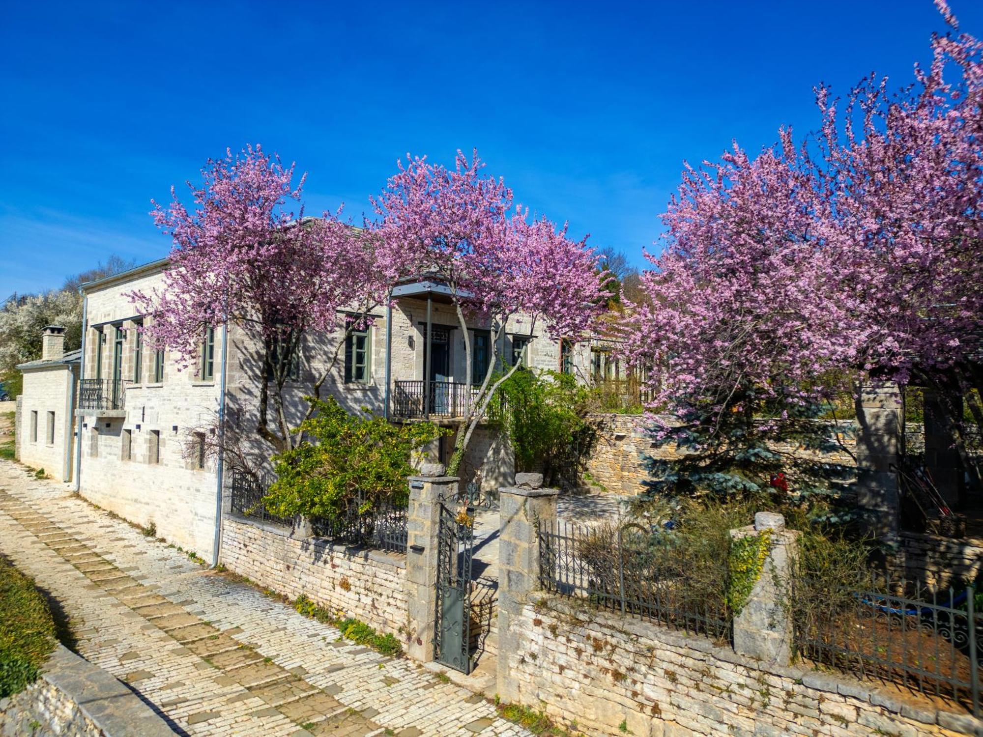 Hotel Katikia Zagori à Vitsa Extérieur photo