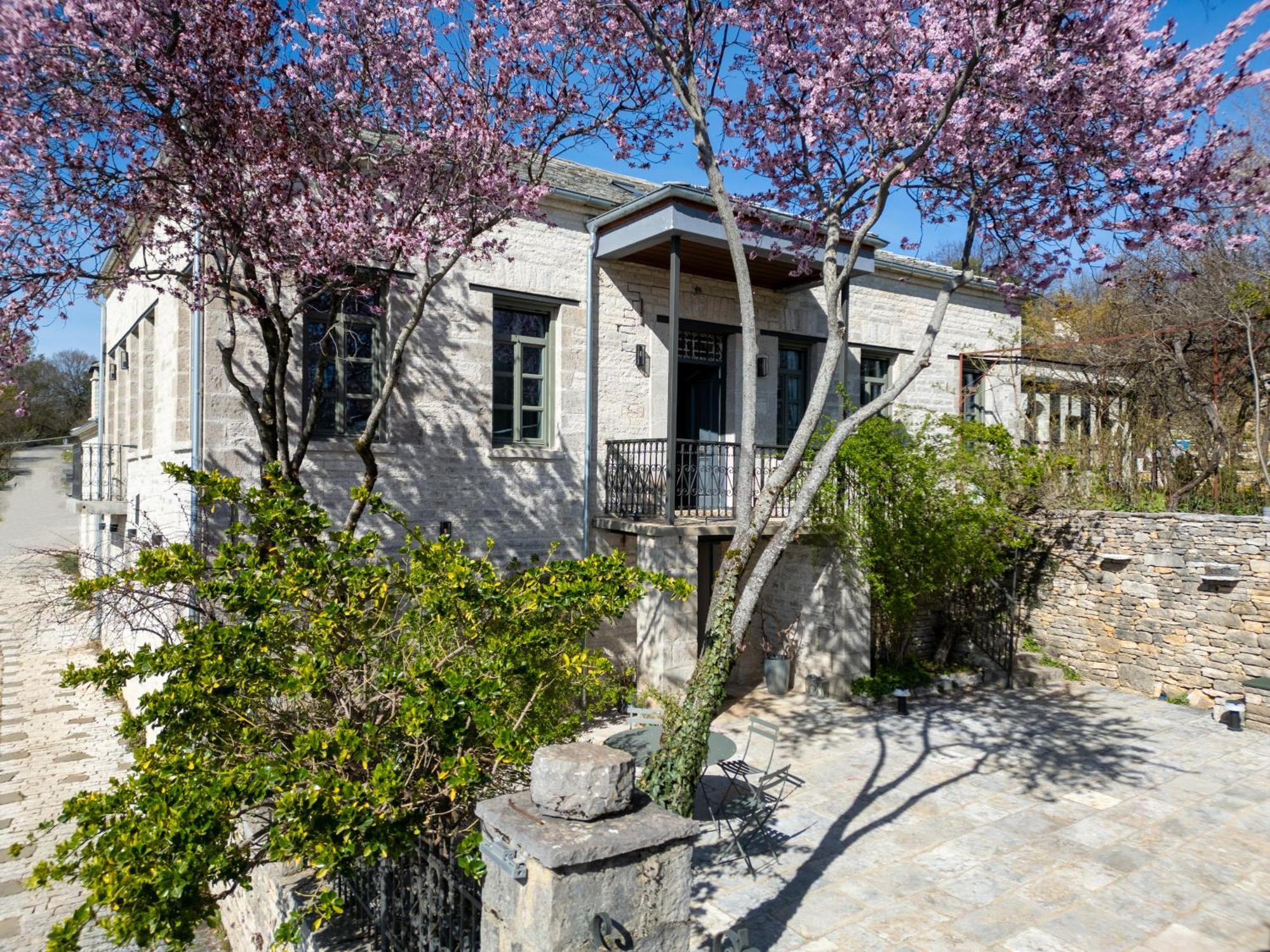 Hotel Katikia Zagori à Vitsa Extérieur photo